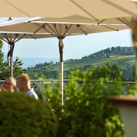Hotel Villa Elben Lörrach bei Basel-2